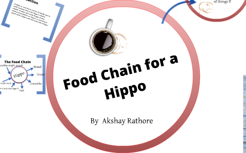 The Food Chain for a Hippo by Akshay Rathore on Prezi