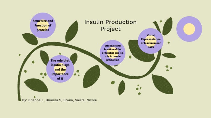 Insulin Production Project by Nicole Cemanes on Prezi