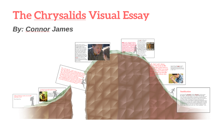 The chrysalids written essay for yearly 07 picture