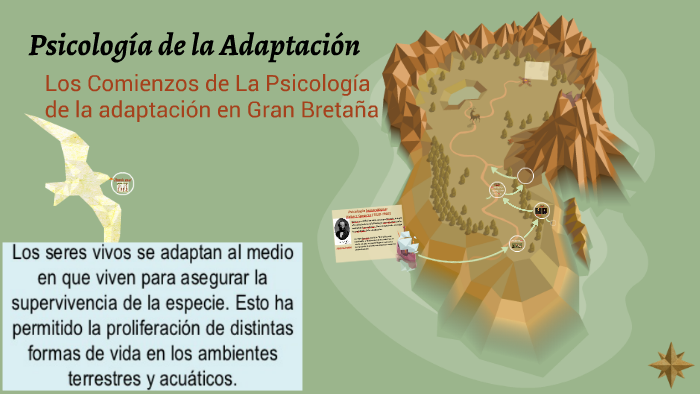 Psicología De La Adaptación By Roger José On Prezi