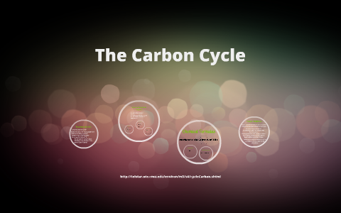 The Carbon Cycle by Jake Altizer on Prezi