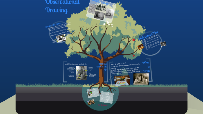 Introduction to Observational Drawing Fundamentals