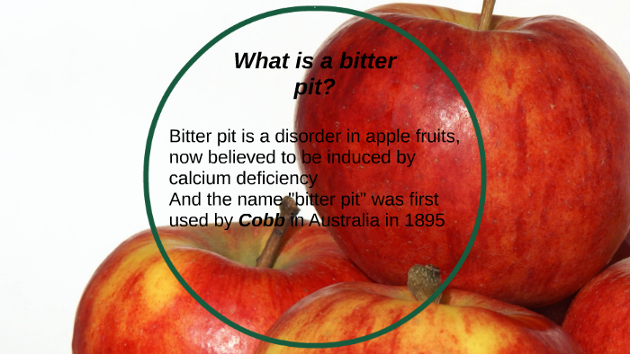 What Is An Apple Bitter Pit By Ahmadreza Goudarzi On Prezi what-is-an-apple-bitter-pit-by-ahmadreza-goudarzi-on-prezi