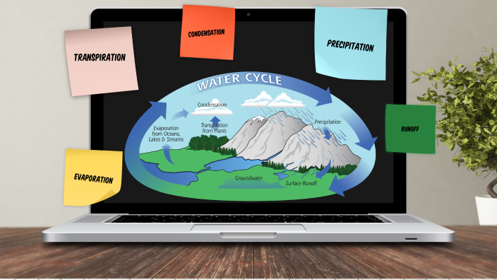 The water cycle by Carolina Santini on Prezi