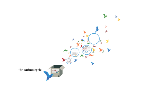 the carbon cycle by Cynthia Roberts on Prezi