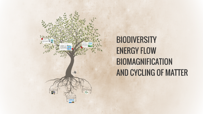 biodiversity, energy flow, biomagnification, and the cycling by Grace ...