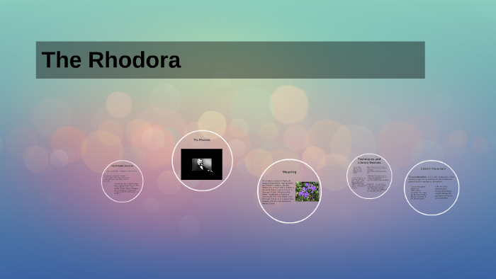 what is the message of the rhodora