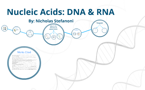 compare the structure and function of dna and rna nucleic acids