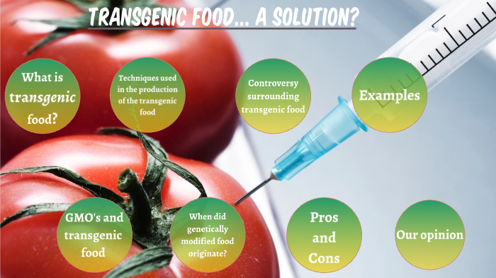 Transgenic Food Pros And Cons transgenic food by luis carvalho on Prezi