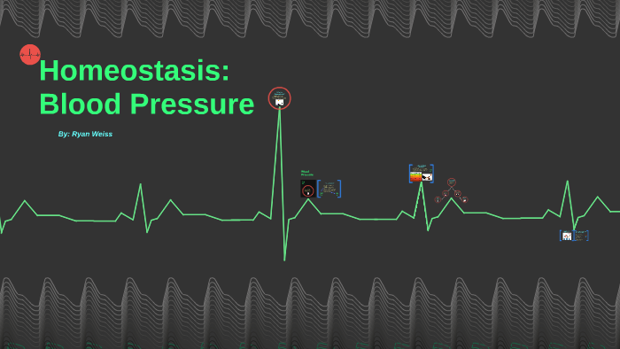 Homeostasis- Blood Pressure by Ryan Weiss on Prezi