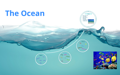 The Ocean by Alice Pilditch on Prezi