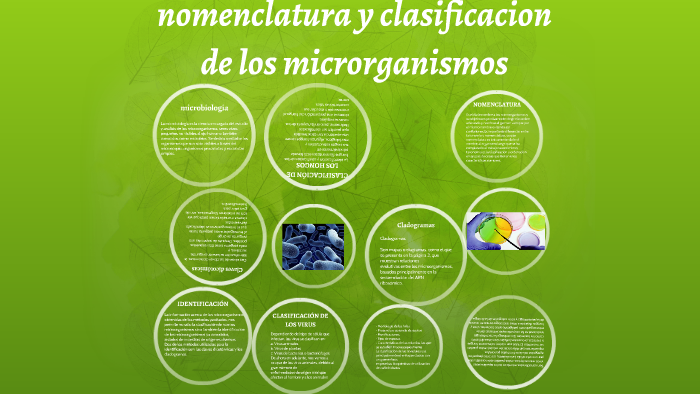nomenclatura y clasificacion de los microrganismos by sergio sanchez ...