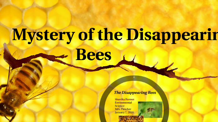 Mystery Of The Disappearing Bees By Shanika Penner On Prezi Next