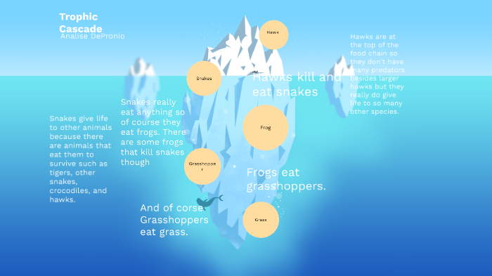 Trophic Cascade Model by Analise Depronio on Prezi