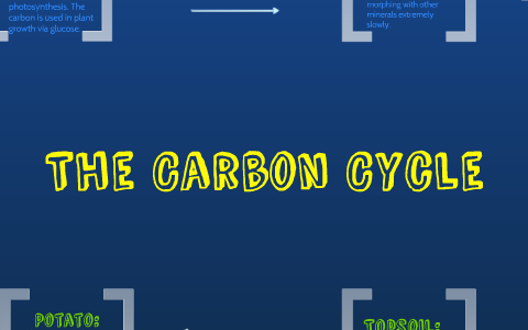 The Carbon Cycle by Andrew Carlson on Prezi