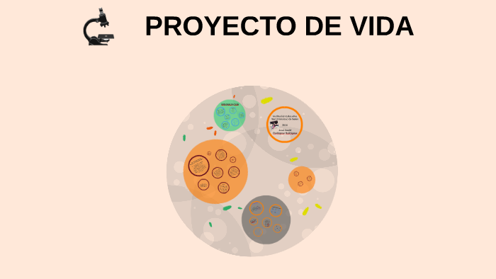 PROYECTO DE VIDA by Jose David Rodriguez on Prezi