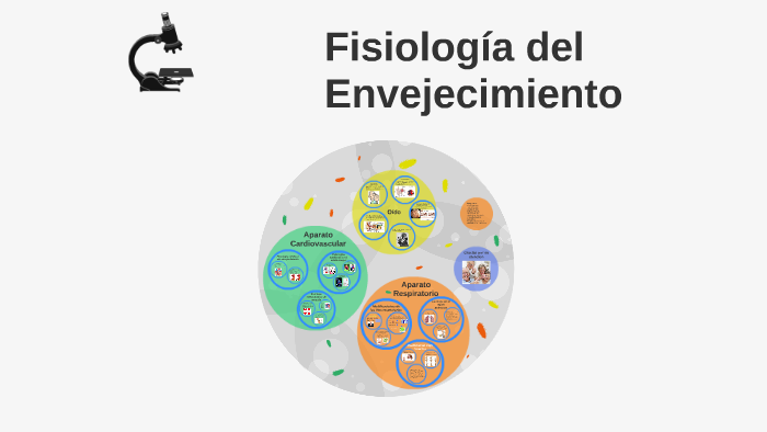 Fisiología Del Envejecimiento By Mariel Espinoza On Prezi