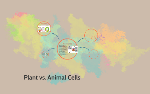 Plant vs. Animal cells by Brianna Claimond. on Prezi