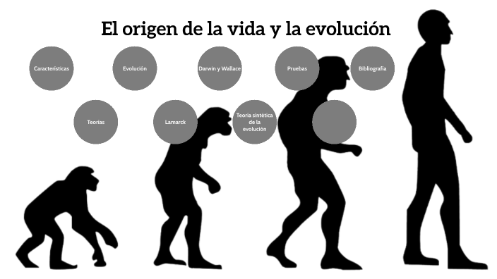 El origen de la vida y la evolución by Julia Lerín Morentin on Prezi