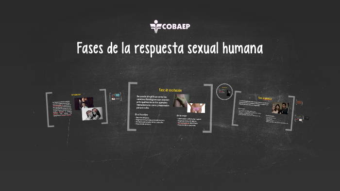 Fases de la respuesta sexual by Sandra Franco Sanchez on Prezi