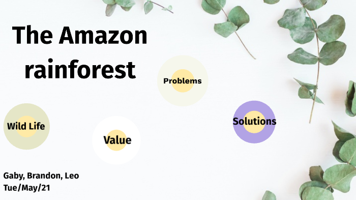The Amazon Rainforest by Leo Hayes on Prezi