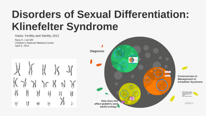 Klinefelter Syndrome and Fertility Preservation by Nora Lee