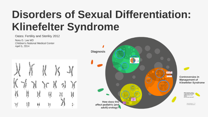 Klinefelter Syndrome And Fertility Preservation By Nora Lee