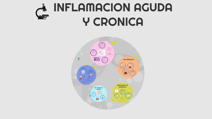 INFLAMACION AGUDA Y CRONICA by emmanuel simarra marin on Prezi