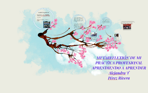 METAREFLEXIÓN DE MI PRÁCTICA PROFESIONAL by Ale Pérez on Prezi