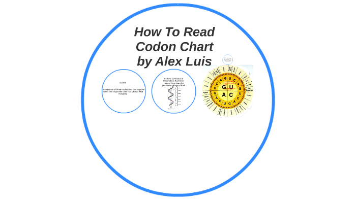 How To Read Codon Chart By Alex Luis