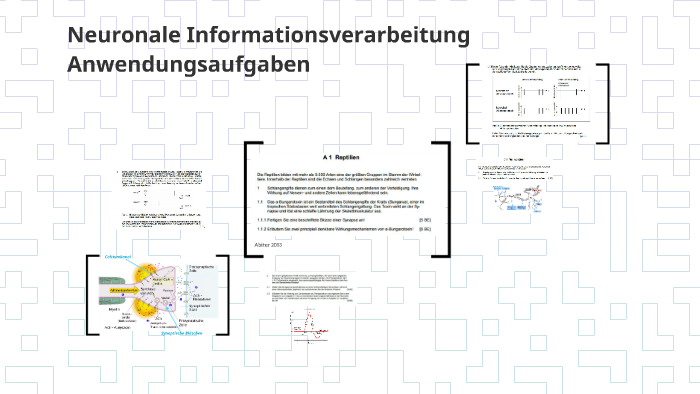Neuronale Informationsverarbeitung by Anna Fürst on Prezi