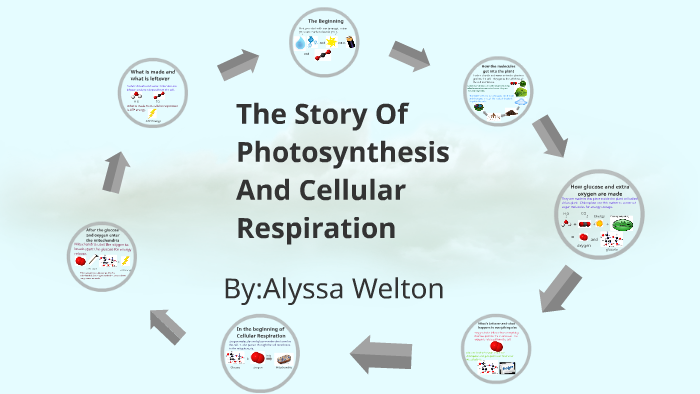 The story of Photosynthesis and Cellular Respiration by alyssa welton ...