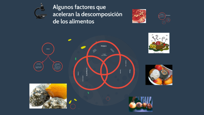 Algunos factores que aceleran la descomposición de los alime by Gracy
