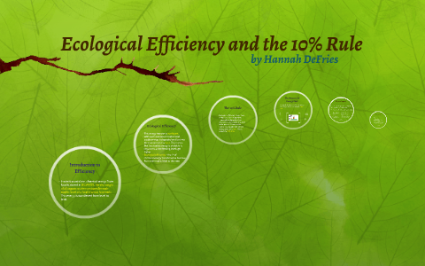 Ecological Efficiency and the 10 Rule by Hannah DeFries on Prezi