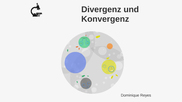 Konvergenz Und Divergenz Biologie Divergenz und Konvergenz by Dominique Reyes on Prezi