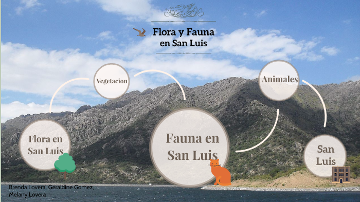 San Luis: Flora y Fauna by melany lovera on Prezi