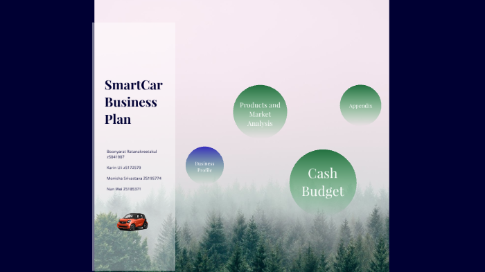 smart car business plan