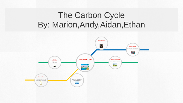 The Carbon Cycle by Allie Haviland on Prezi