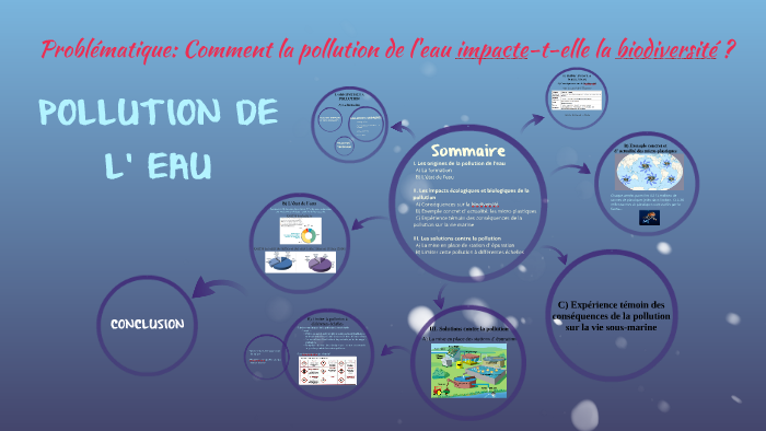 POLLUTION DE L'EAU by Ilona RICHARD on Prezi
