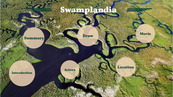 swamplandia summary