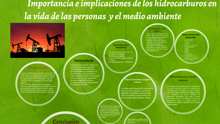 Importancia e implicaciones de los hidrocarburos en la vid by Helen