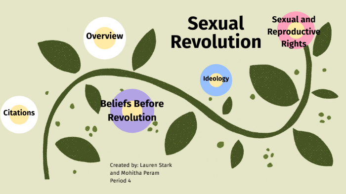 Sexual Revolution By Mo P 