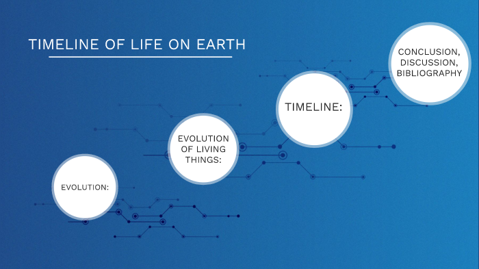 Timeline of Life on earth by Fiona-Maria Meier