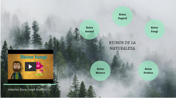 REINOS DE LA NATURALEZA by Sebastian Reyes on Prezi