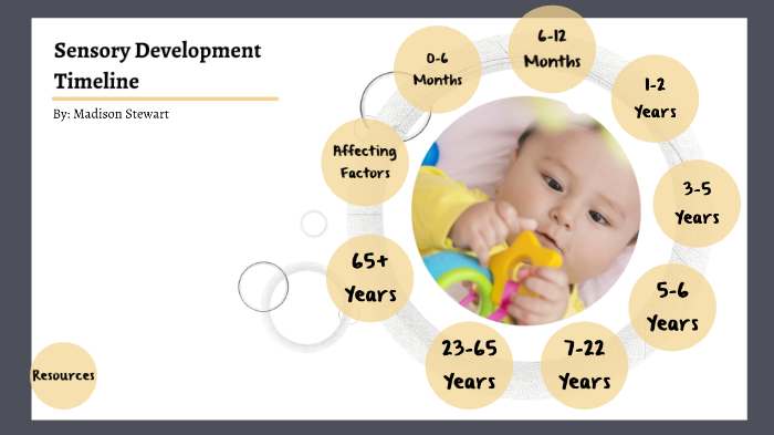 Sensory Development Timeline by Madison Stewart on Prezi