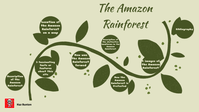 The Amazon Rainforest by Haz Noodles on Prezi