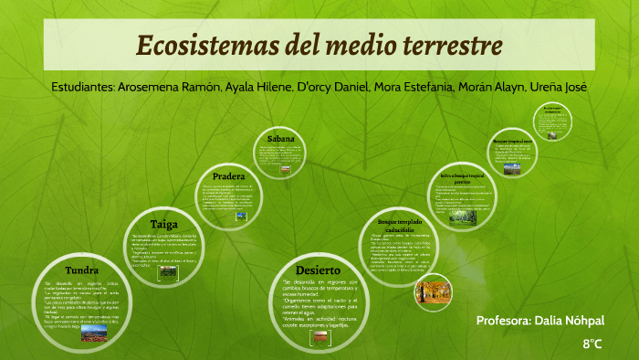 Ecosistemas del medio terrestre by Sadie Ureña on Prezi