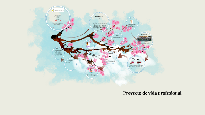 Proyecto de vida by Paula Andrea Garzon Yuste on Prezi