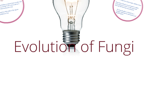 The Evolution of Fungi by Colin Beamer on Prezi
