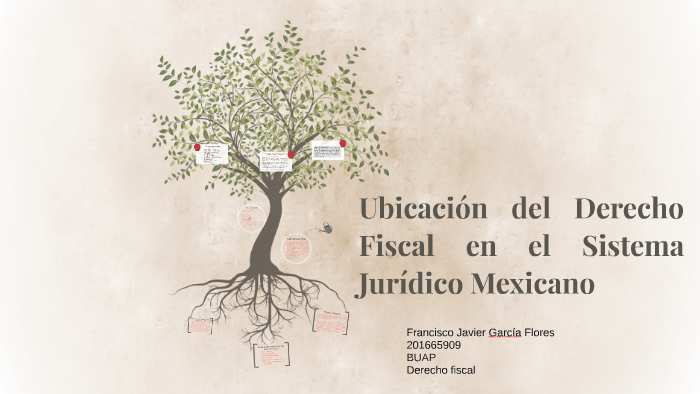 Ubicación Del Derecho Fiscal En El Sistema Jurídico Mexicano Fjgf